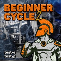 Bodybuilding Beginner steroid cycle vol 2 Aas
