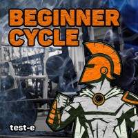 Beginner Cycle with PCT